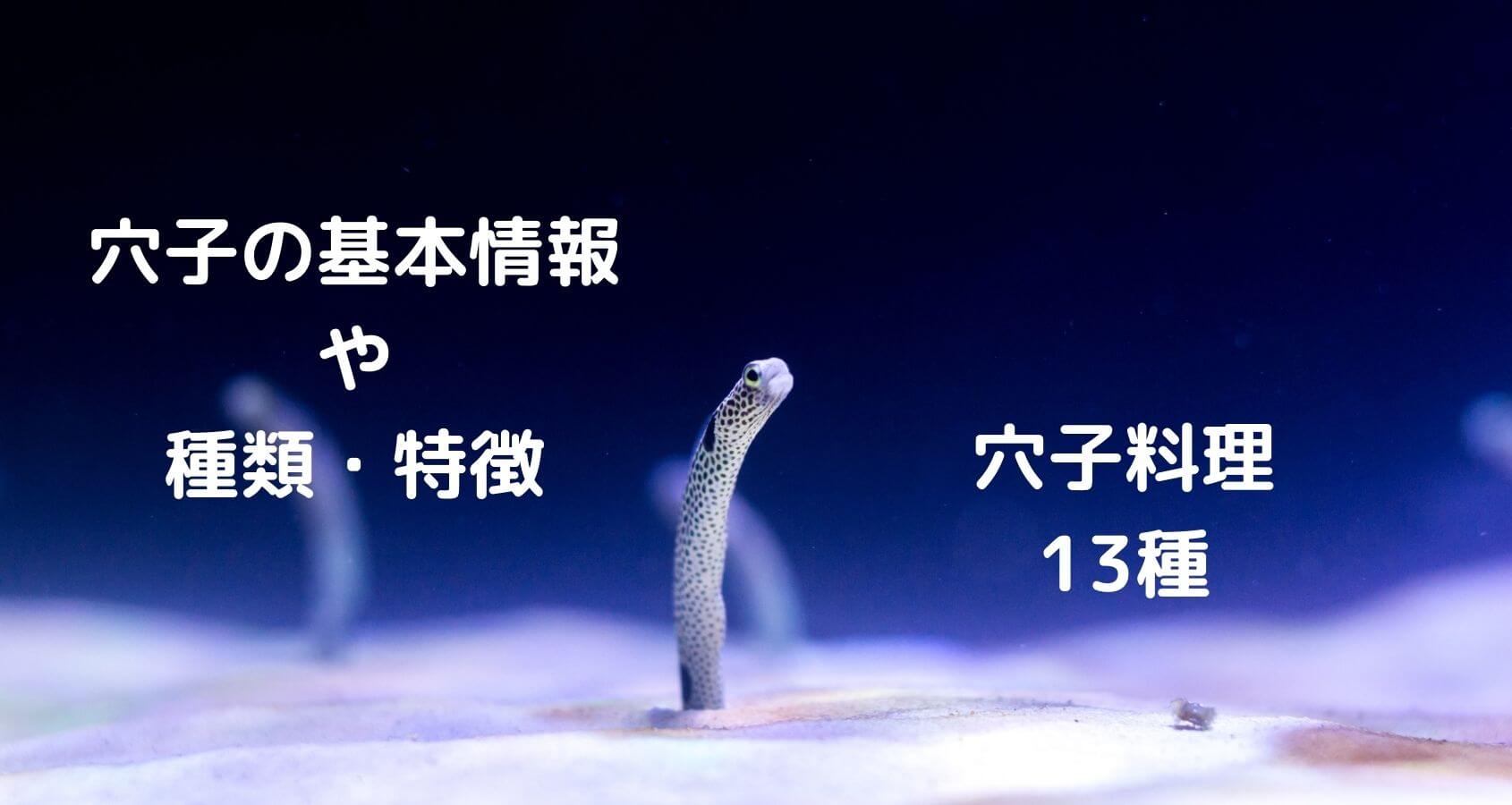 穴子料理 板前の一生 穴子料理 板前の一生