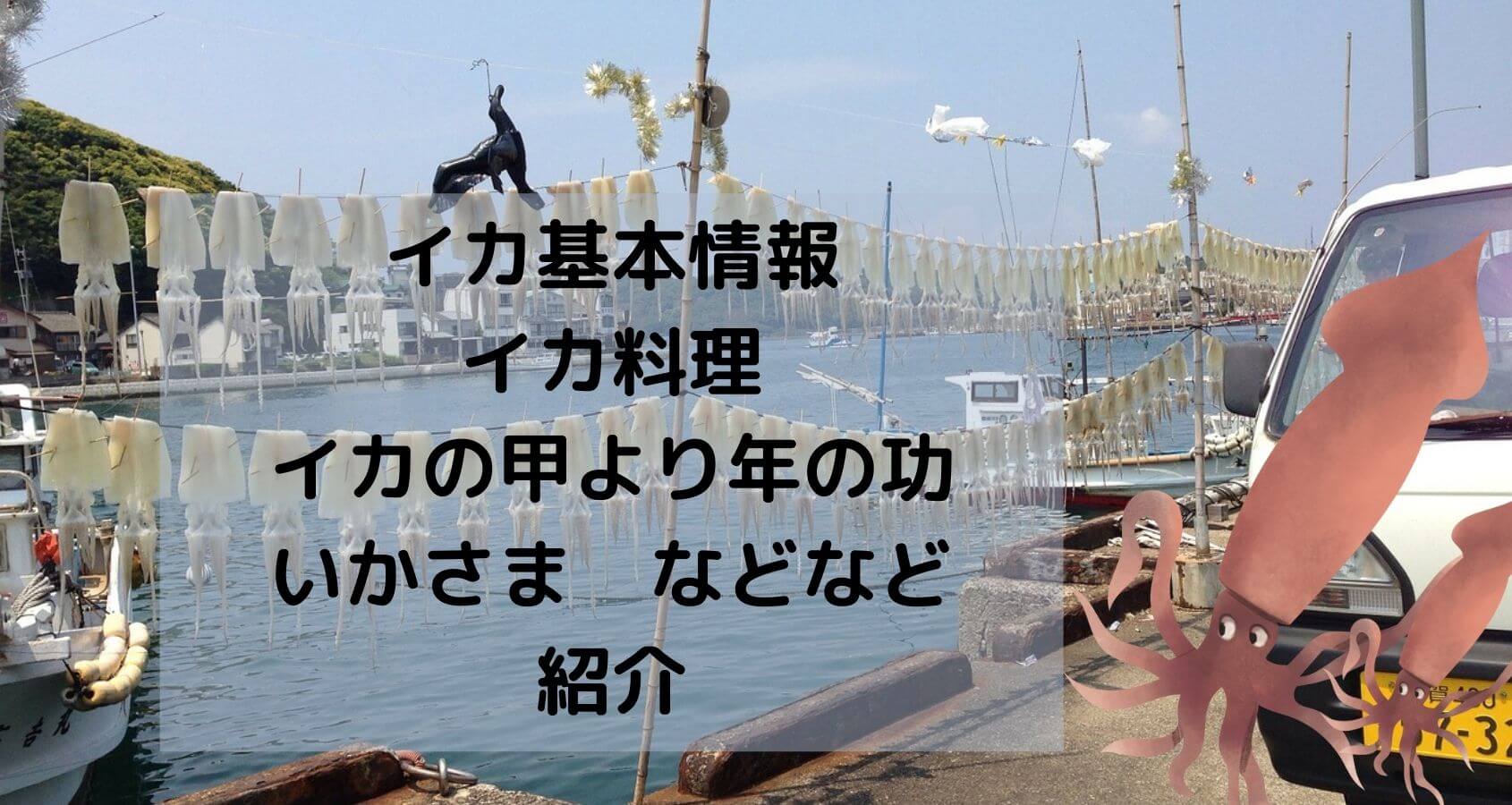 イカ料理 板前の一生