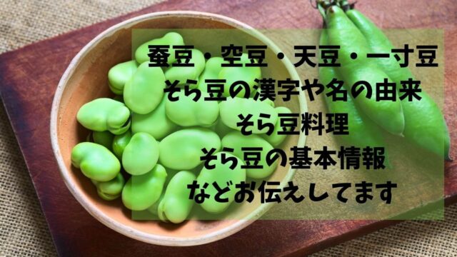 そら豆料理 板前の一生