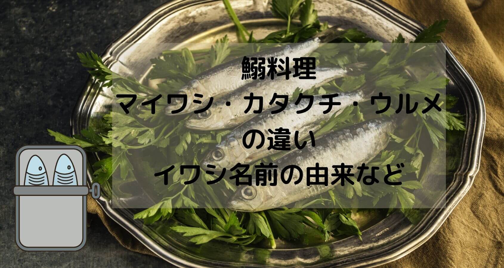 鰯の紹介 板前の一生