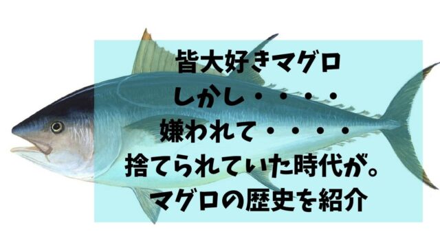 マグロ歴史 板前の一生