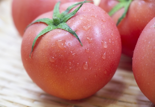 トマト種類 板前の一生