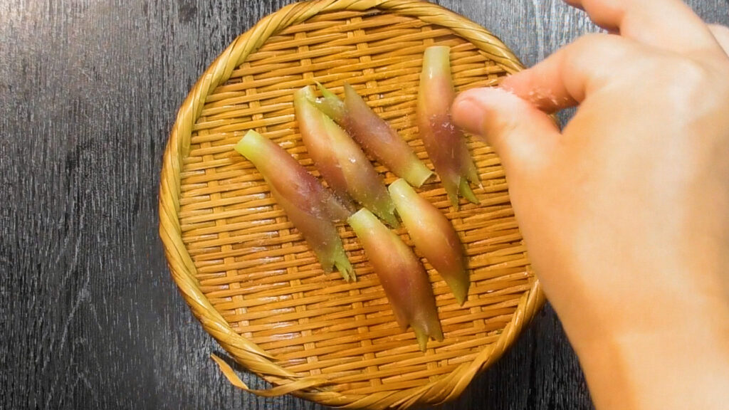 みょうが